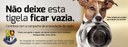 Associação Amigo dos Animais cria Campanha para arrecadar ração Associação Amigo dos Animais cria Campanha para arrecadar ração