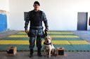 Força Tática Araguaia terá cães para atuar no combate às drogas